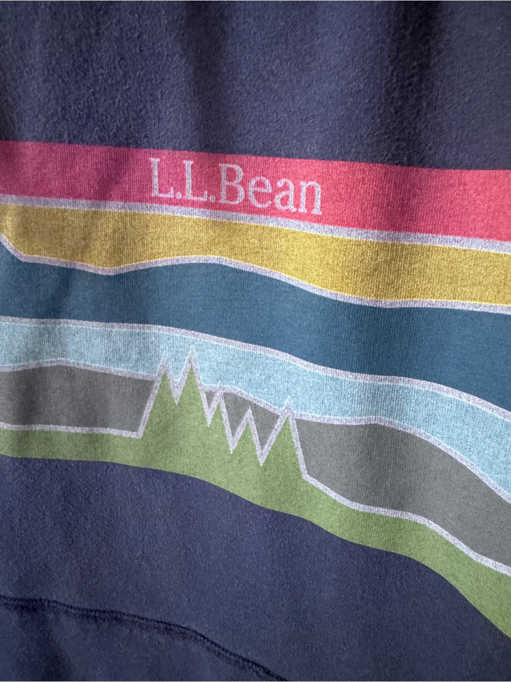 L.L. Bean Men's Navy Slightly Fitted Comfort Camp Hoodie-Large - Picture 3 of 5